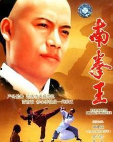 老电影南拳王在线观看,热血拳魂,激战江湖 第2张 老电影南拳王在线观看,热血拳魂,激战江湖 第2张